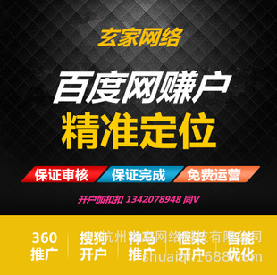 驻马店百度竞价推广